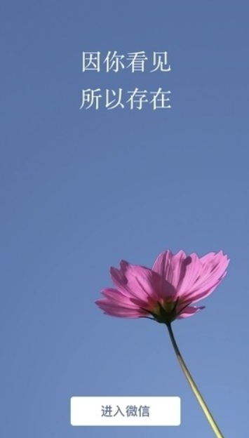 1611283536473813.png 微信8.0大版本发布!赶紧更新!