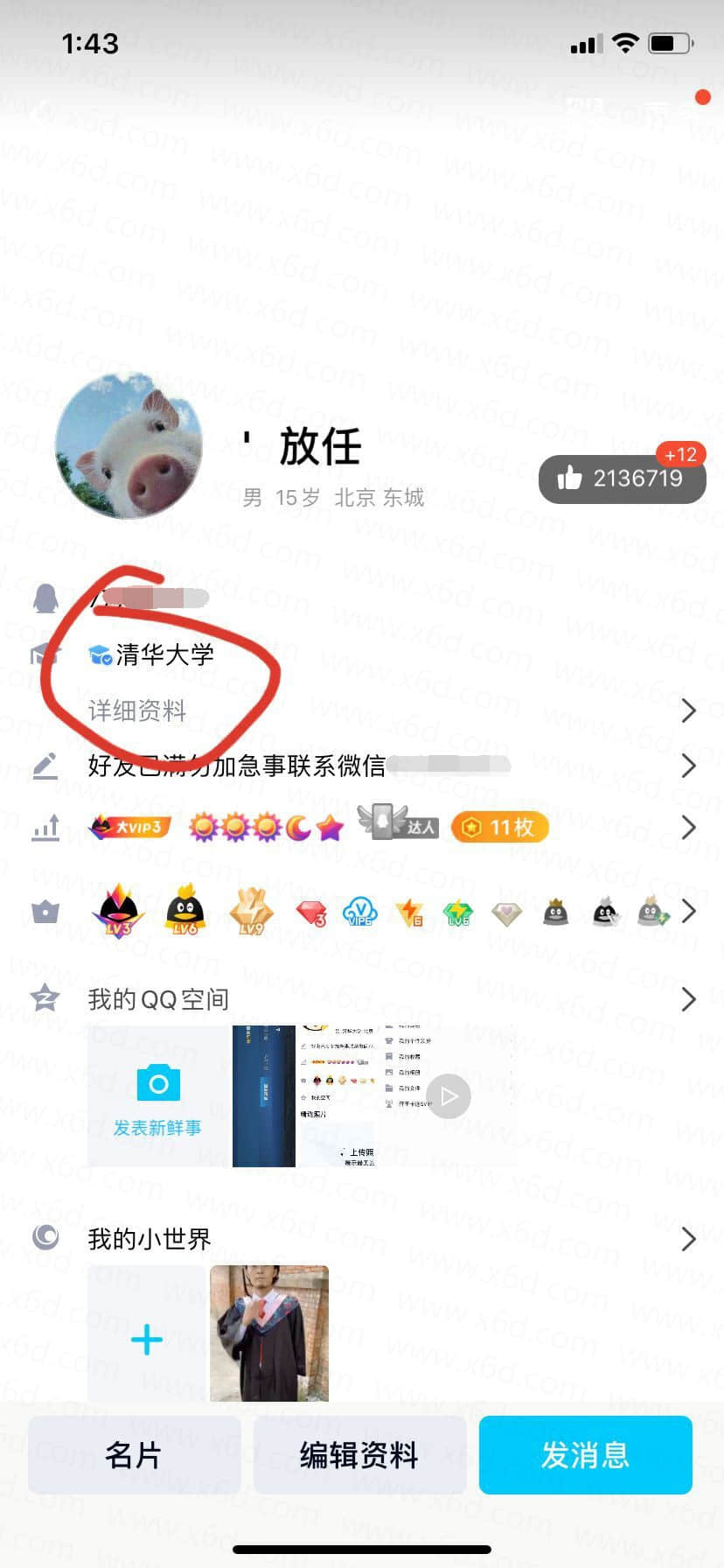 QQ资料卡免审核秒认证大学