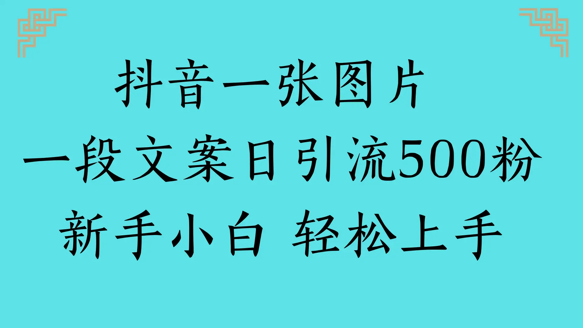 抖音一张图片 一段文案日引流500粉
新手小白 轻松上手
