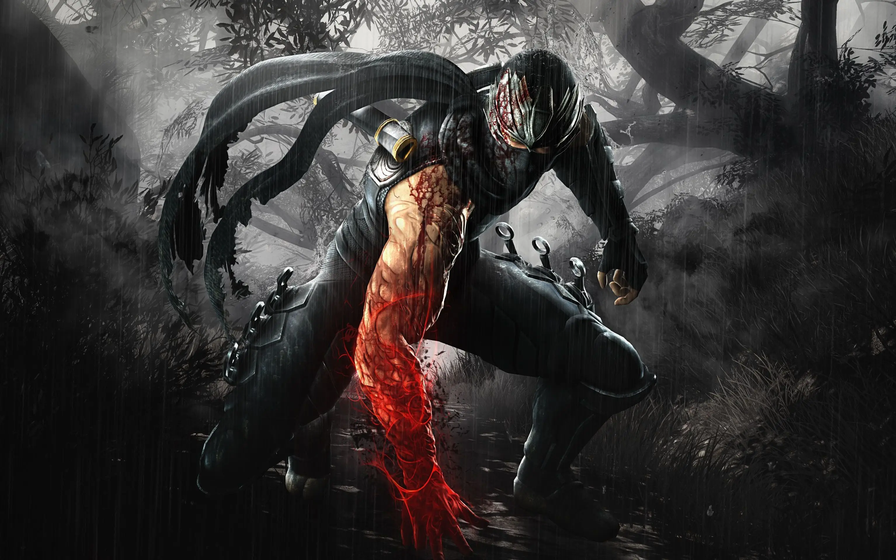 忍者龙剑传-硬核动作游戏的巅峰，刀锋上的死亡芭蕾！