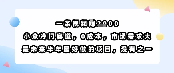 一条视频挣1k,小众冷门赛道,0成本,市场需求大,是未来半年最好做的项目,没有之一