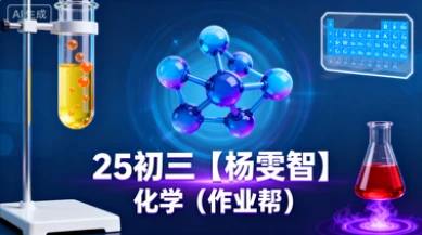 25初三【杨雯智】化学（作业帮）