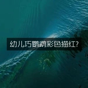 幼儿巧鹦鹉彩色描红​