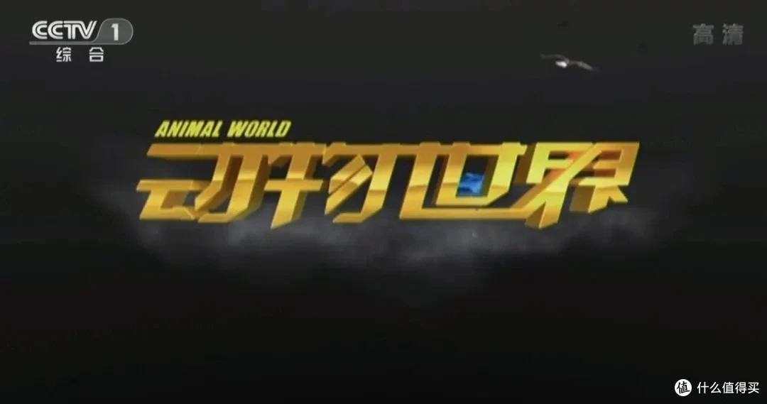 动物世界 赵忠祥 108全集