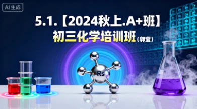 5.1.【2024秋上.A+班】初三化学培训班（郭莹）