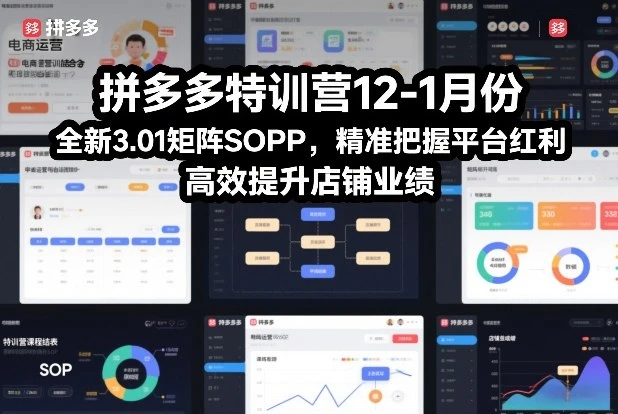 【精】拼多多特训营12-1月份,全新3.01矩阵Sop,精准把握平台红利,高效提升店铺业绩 【精】拼多多特训营12-1月份,全新3.01矩阵Sop,精准把握平台红利,高效提升店铺业绩