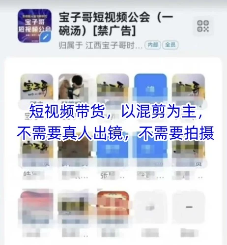 【精】宝子哥头部团队短视频带货，以混剪为主，不需要真人出镜，不需要拍摄【更新12月】