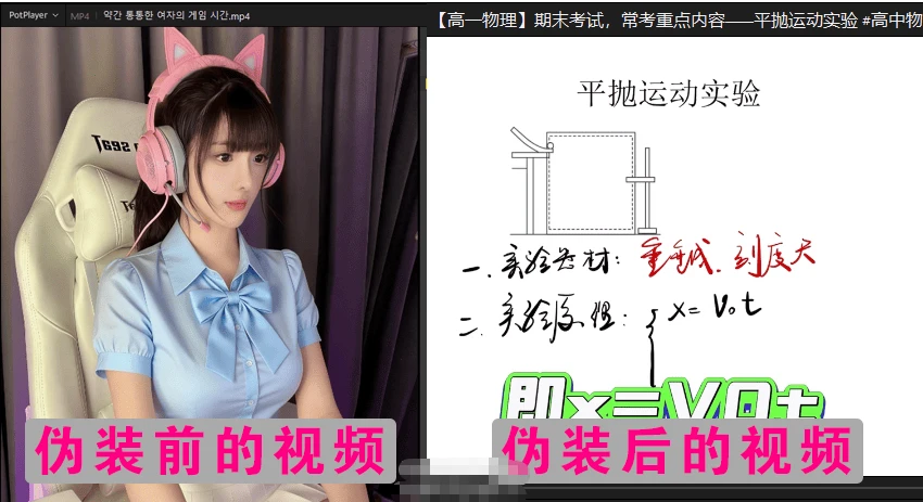 视频伪装大师VideoCamouflageMaster v1.0.0