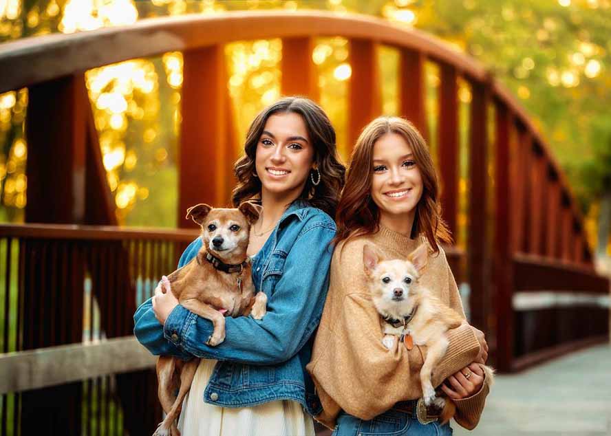 大师级GTG出品-老友记系列AI自适应预设The Friends Preset Collection-资源之家 大师级GTG出品-老友记系列AI自适应预设The Friends Preset Collection-资源之家