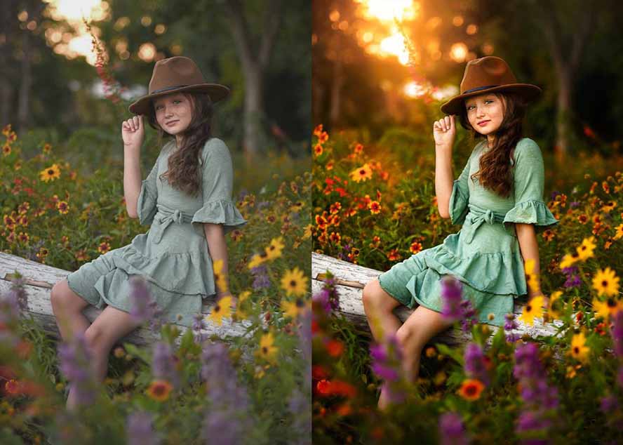 大师级GTG出品-老友记系列AI自适应预设The Friends Preset Collection-资源之家 大师级GTG出品-老友记系列AI自适应预设The Friends Preset Collection-资源之家