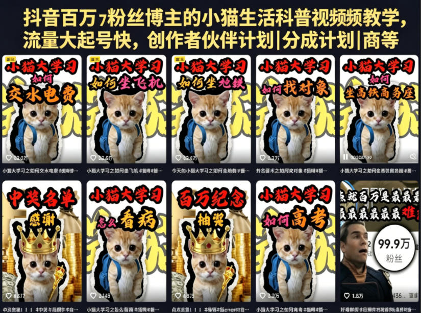 抖音百万粉丝博主小猫生活科普视频教学：零基础剪辑入门，快速起号变现副业