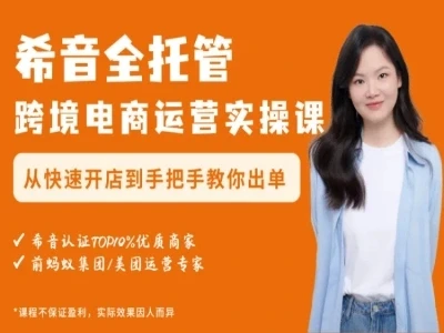 【精】希音跨境电商运营实操课-小满跨境shein跨境电商教程