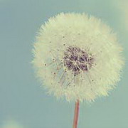 骑着蜗牛追火箭