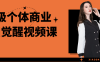 超级个体商业认知觉醒视频课