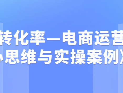 《转化率—电商运营核心思维与实操案例》
