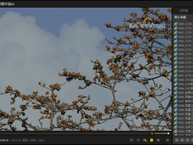 PotPlayer v1.7.22396绿色版