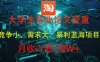 大学生毕业论文查重，暴利蓝海项目，月收入过1W+