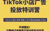 【精】TikTok小店广告投放特训营，6天破局计划专治各种“投不动”，教你经过月销百万验证的实战干货