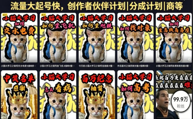 抖音百万粉丝博主小猫生活科普视频教学:零基础剪辑入门,快速起号变现副业