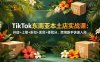 【精】TikTok东南亚本土店实战课：开店+上架+折扣+发货+体验分，跨境新手快速入局